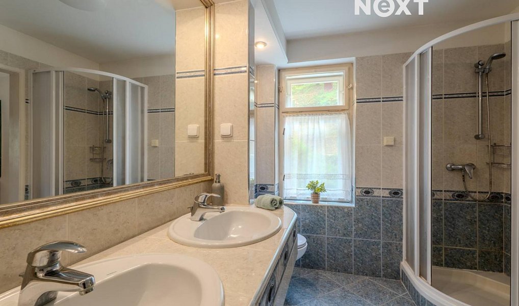 Prodej domu 285 m² s pozemkem 1 291 m², Bílovice nad Svitavou – náhled fotky 18