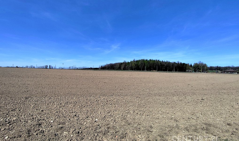 Prodej pole 40 119 m², Nová Včelnice – náhled fotky 8