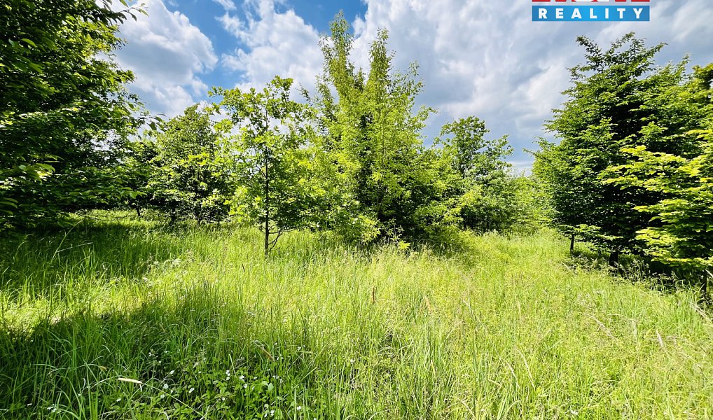 Prodej pozemku 1 026 m², Veselí nad Moravou – náhled fotky 9