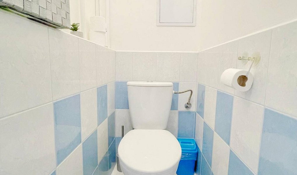 Pronájem bytu 2+1 65 m², Ostrov – náhled fotky 5