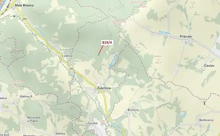 Dražba lesa 2 875 m², Zubrnice