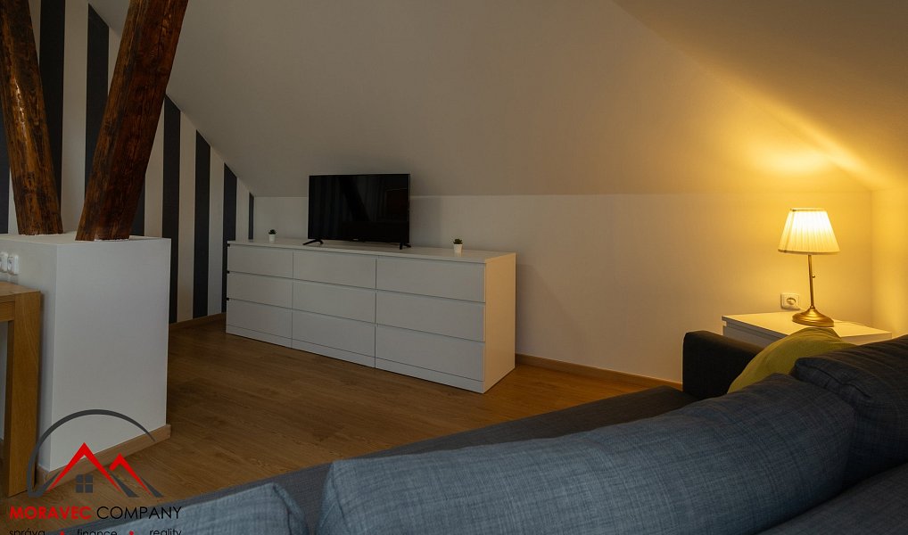 Pronájem bytu 1+kk 38 m², Ostrava – náhled fotky 6