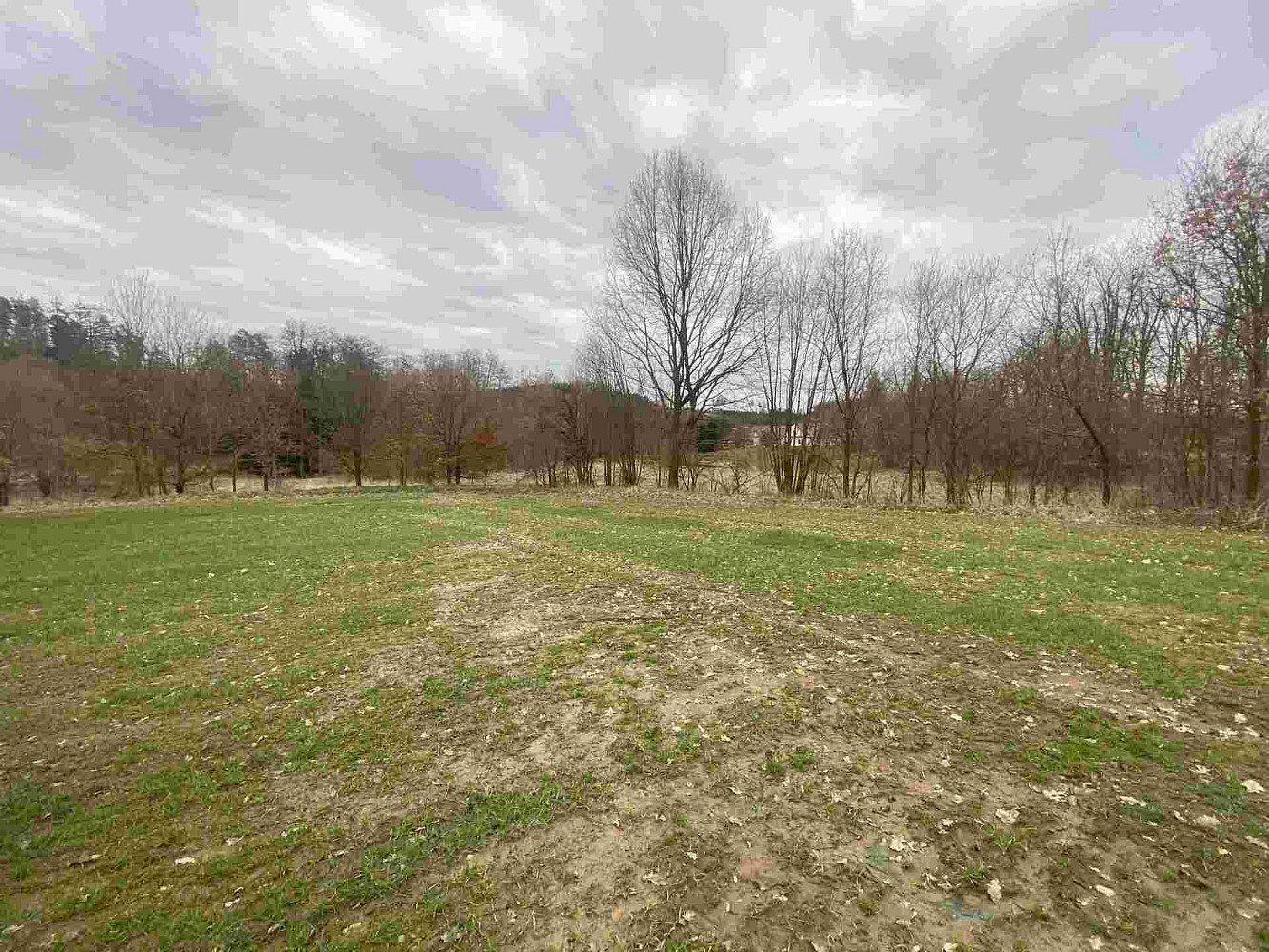 Prodej pozemku 4 837 m² – fotografie 4