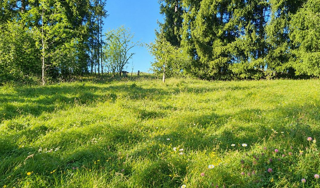 Prodej stavebního pozemku 1 074 m², Nová Bystřice – náhled fotky 3