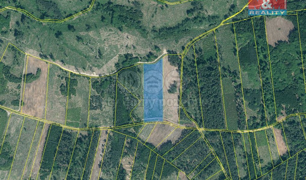 Prodej lesa 31 810 m², Jetětice – náhled fotky 2