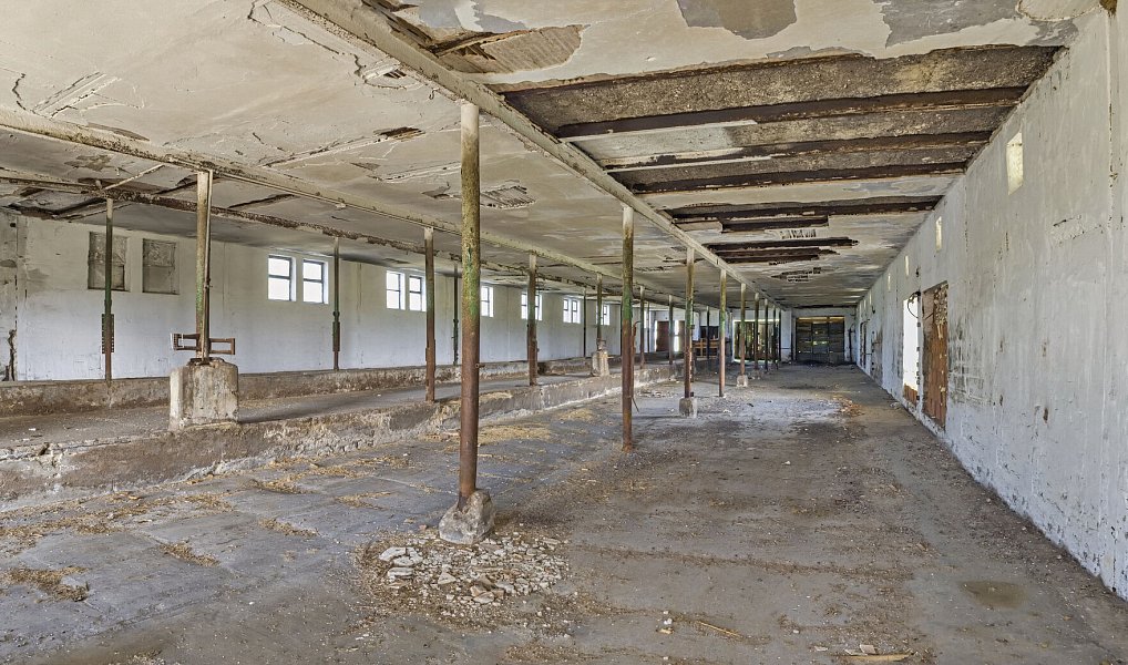 Pronájem skladovacích prostor 750 m², Voděrady – náhled fotky 4