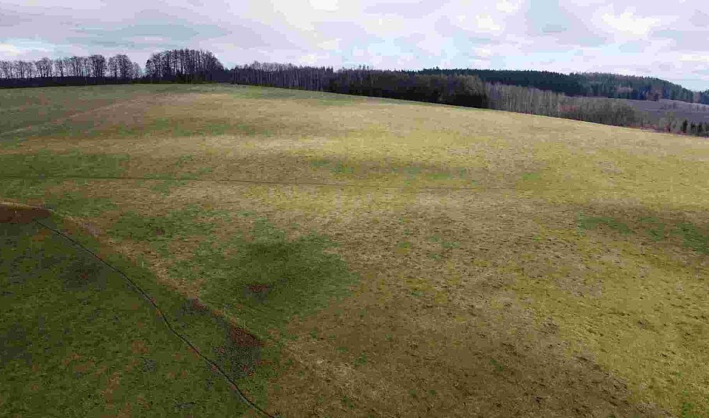 Prodej pozemku 5 185 m², Teplice nad Metují – náhled fotky 2