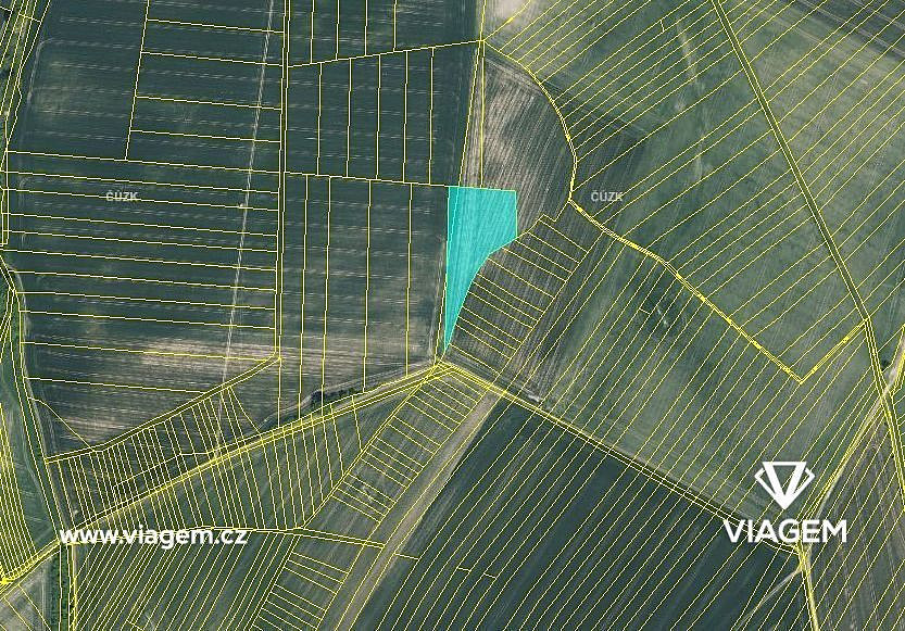 Prodej pole 1 063 m² – fotografie 3