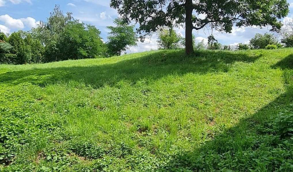 Prodej stavebního pozemku 1 289 m², Praha – náhled fotky 13