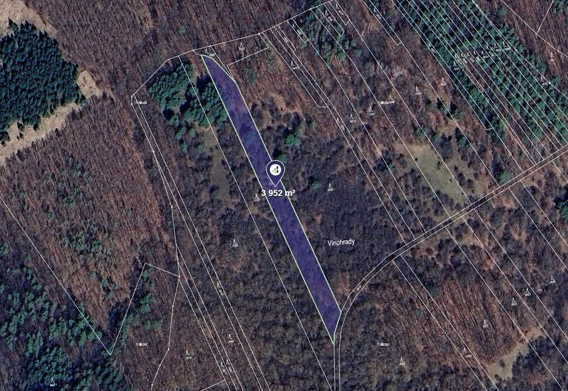 Prodej lesa 1 976 m²