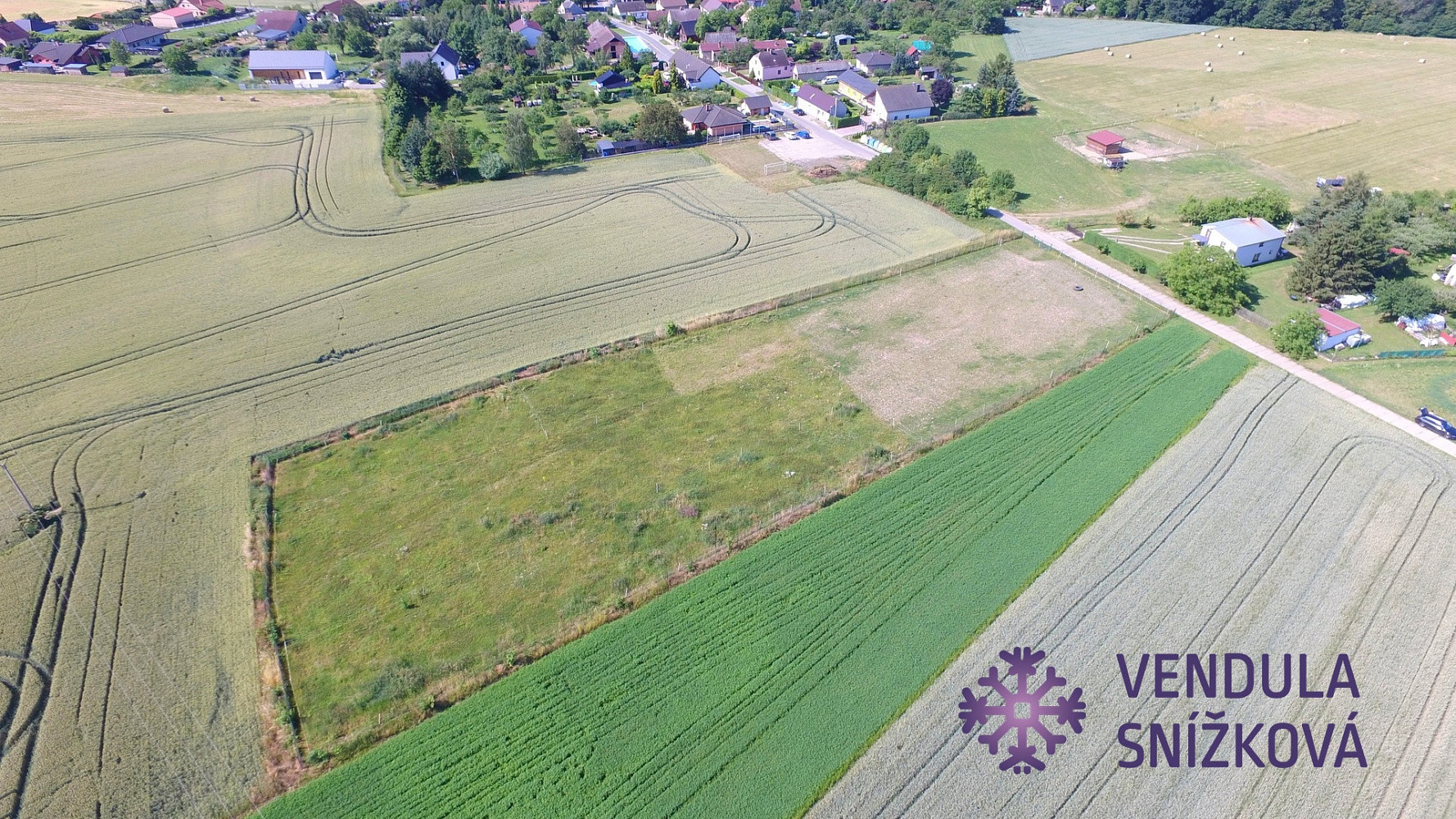 Prodej pole 5 343 m² – fotografie 4