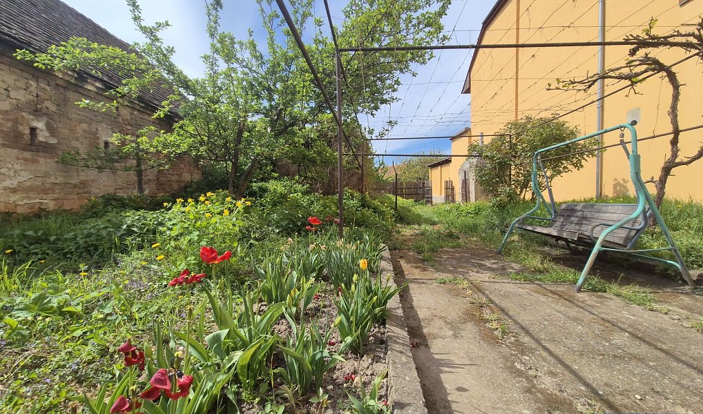 Prodej domu 135 m² s pozemkem 768 m², Horní Věstonice – náhled fotky 13