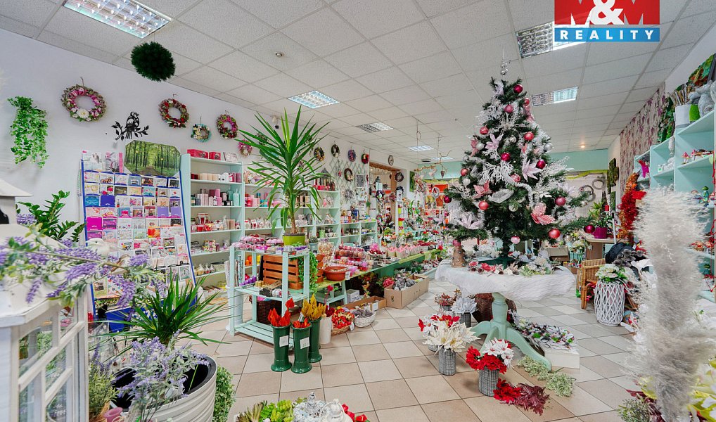 Pronájem obchodních prostor 133 m², Třemošná – náhled fotky 12