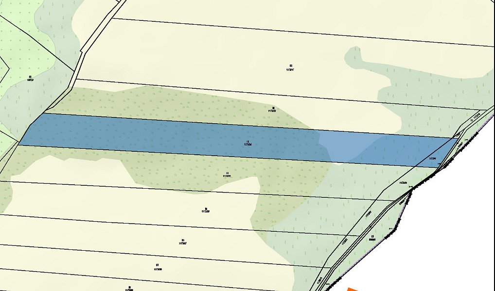 Prodej pozemku 10 861 m², Žítková – náhled fotky 2