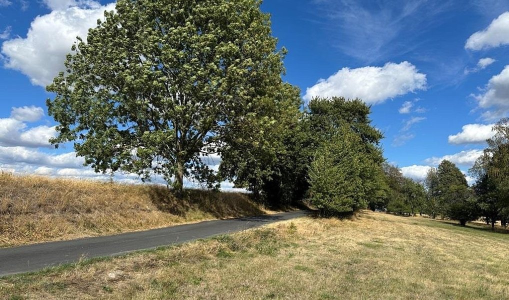 Prodej domu 371 m² s pozemkem 11 770 m², Křižanov – náhled fotky 6