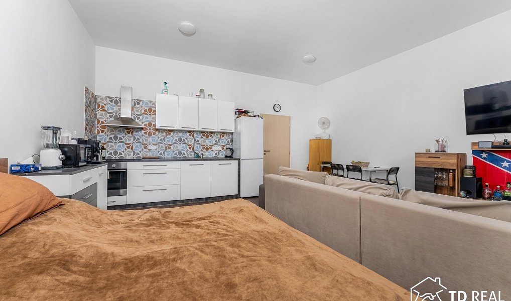 Prodej bytu 1+kk 47 m², Brno – náhled fotky 2