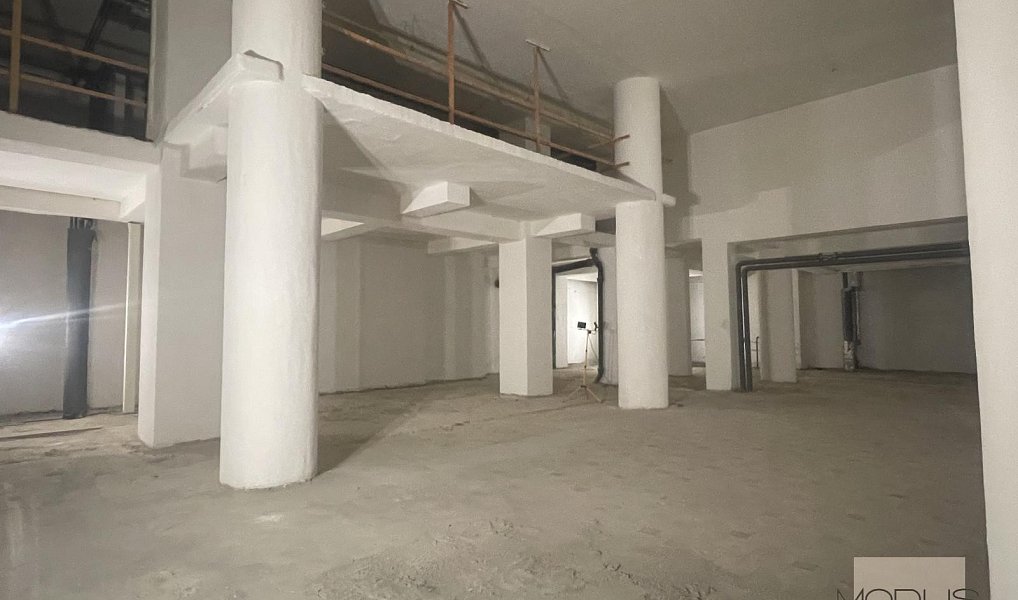 Pronájem obchodních prostor 1 000 m², Praha – náhled fotky 3