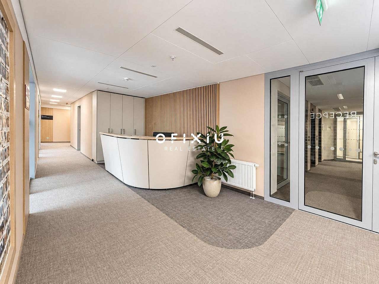 Pronájem kanceláře 750 m² – fotografie 3