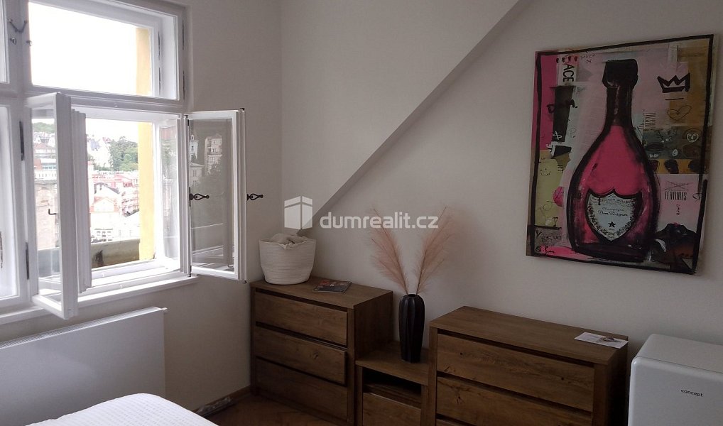 Pronájem bytu 1+kk 20 m², Karlovy Vary – náhled fotky 6