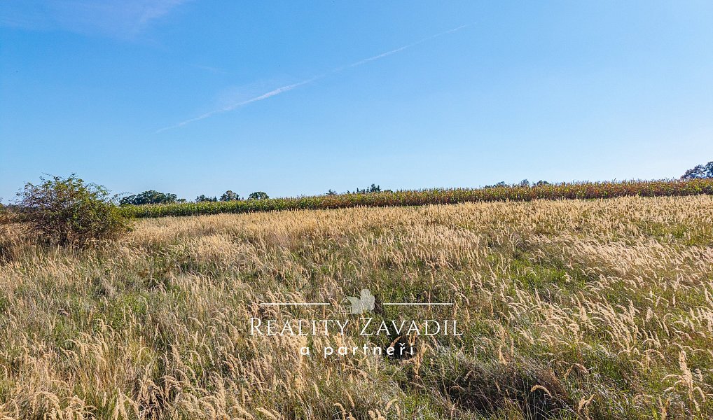 Prodej stavebního pozemku 1 248 m², Chlístov – náhled fotky 9