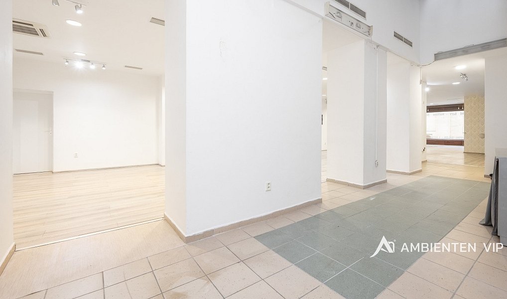 Prodej obchodních prostor 494 m², Brno – náhled fotky 38
