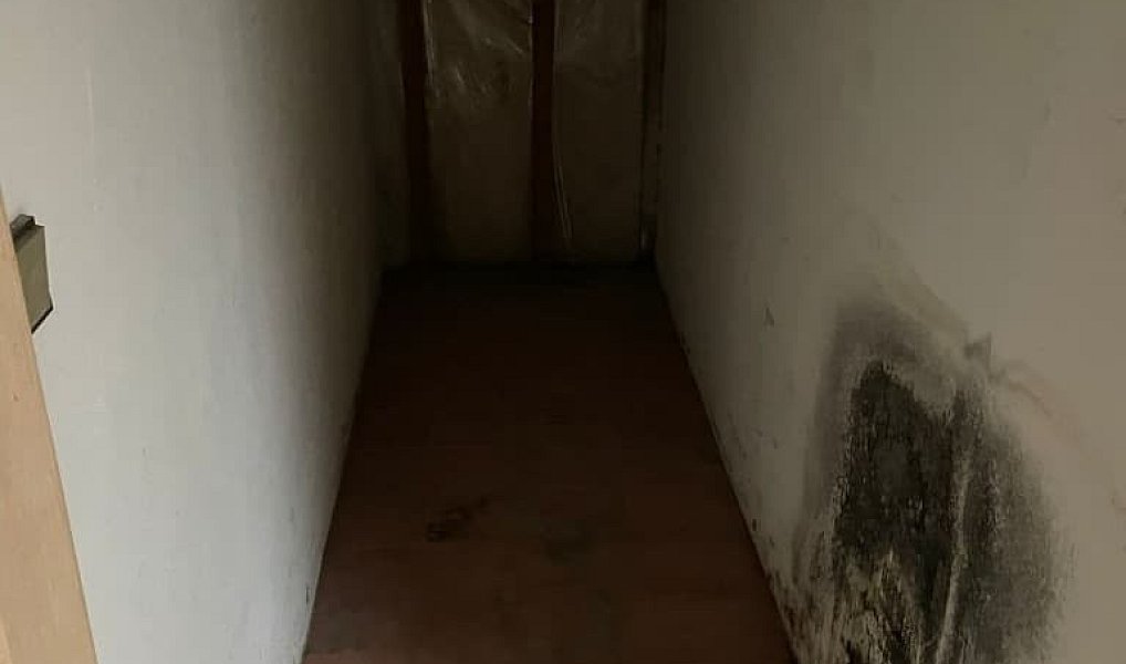 Prodej domu 345 m² s pozemkem 188 m², Rosice – náhled fotky 15