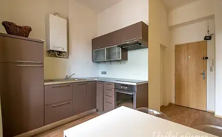 Pronájem bytu 1+1 45 m²