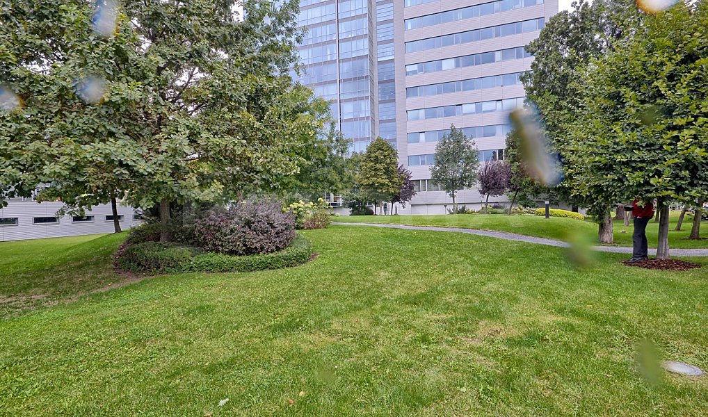 Pronájem obchodních prostor 291 m², Praha – náhled fotky 14