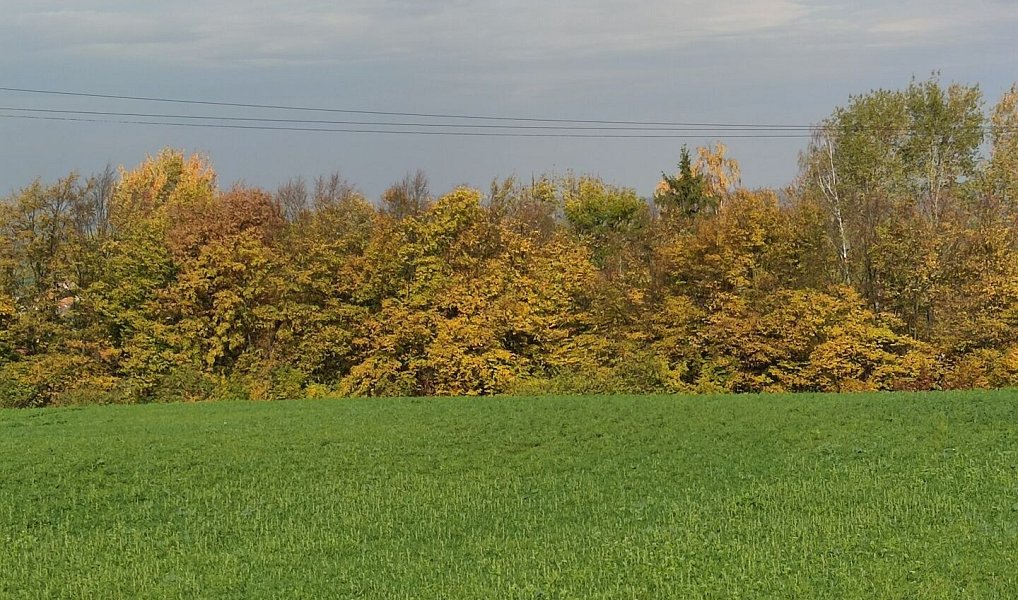 Prodej stavebního pozemku 477 m², Tuchlovice – náhled fotky 4