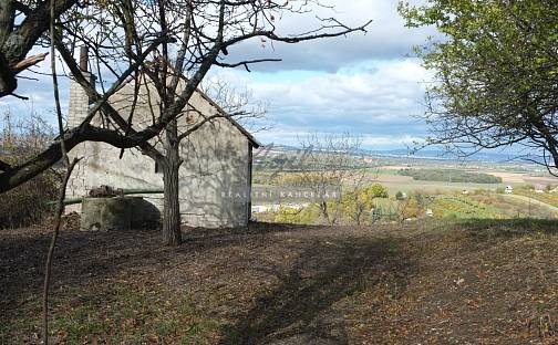 Prodej chaty/chalupy 27 m² s pozemkem 2 384 m², Židlochovice, okres Brno-venkov