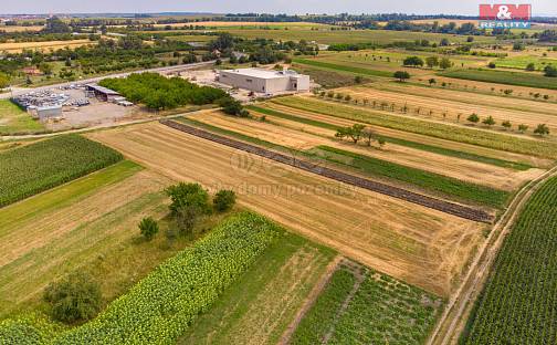 Prodej pole 2 005 m², Podivín, okres Břeclav