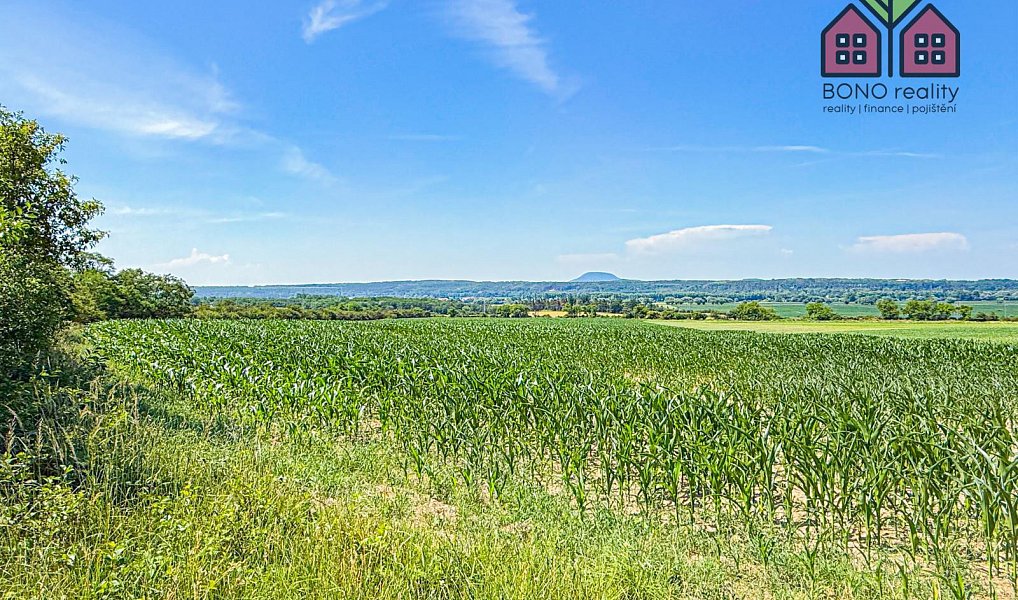 Prodej pole 41 291 m², Štětí – náhled fotky 8