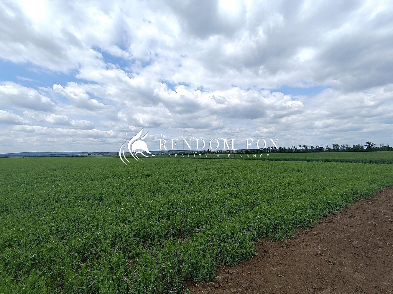 Prodej pole 22 505 m² — photo 3