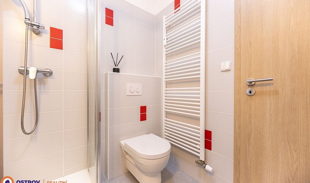 Pronájem bytu 1+kk 21 m², Loučná nad Desnou – náhled fotky 12
