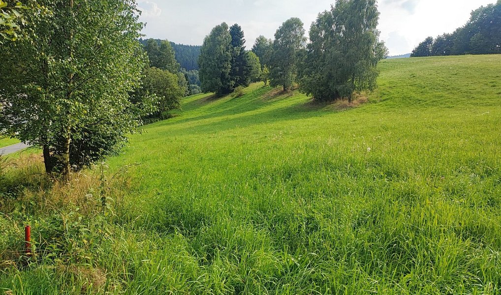 Prodej stavebního pozemku 22 105 m², Lipová-lázně – náhled fotky 6