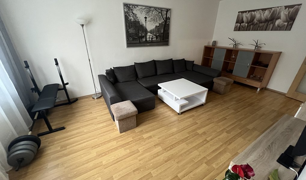 Prodej bytu 2+1 65 m², Uherské Hradiště – náhled fotky 8