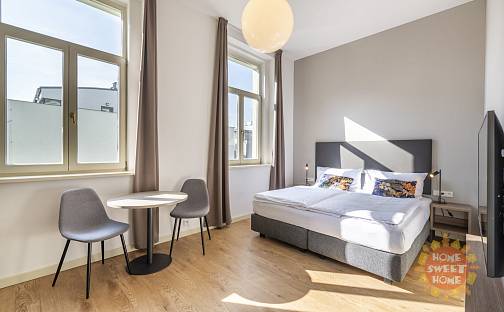 Pronájem bytu 1+kk 24 m², Opletalova, Praha 1 - Nové Město