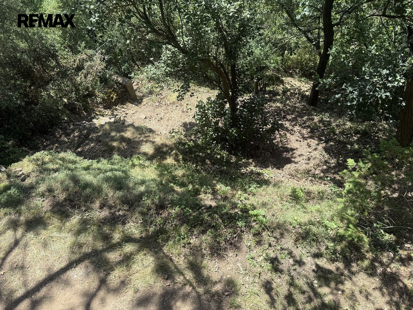 Fotka 14 z 15
