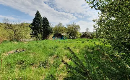 Prodej zahrady 1 714 m², Kosov, okres Šumperk
