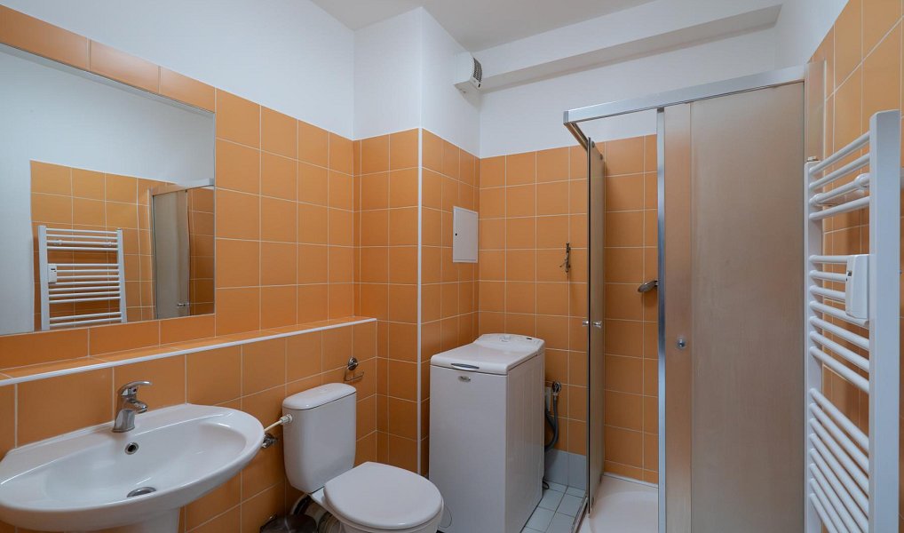 Prodej bytu 1+kk 39 m², Praha – náhled fotky 6