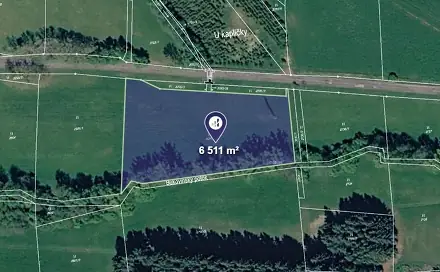 Prodej louky 6 511 m², Čistá u Horek, okres Semily