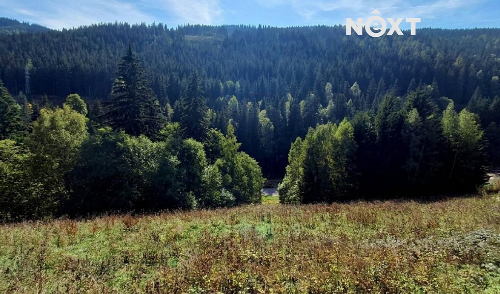 Prodej stavebního pozemku 4 273 m², Pec pod Sněžkou – náhled fotky 4