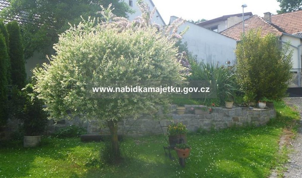 Prodej pozemku 610 m², Ledenice – náhled fotky 2