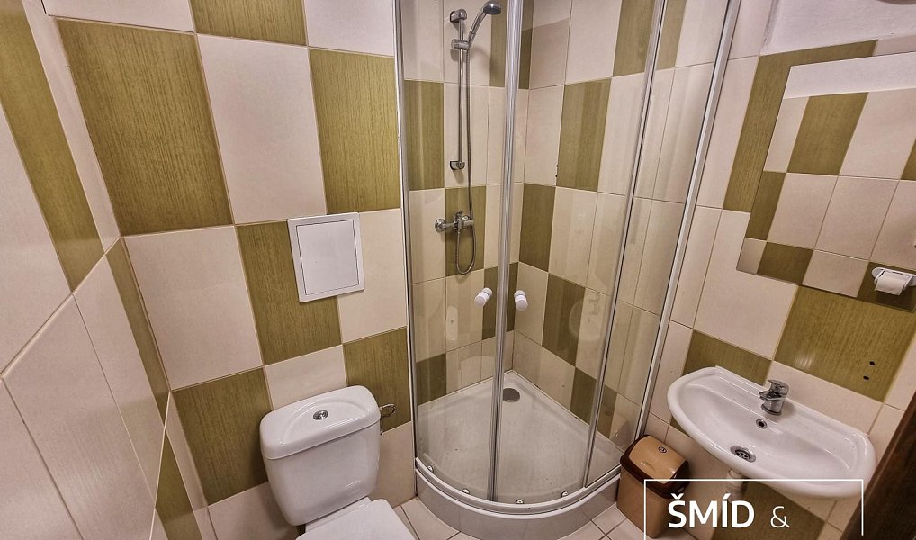Prodej ubytovacího objektu 2 642 m², Seč – náhled fotky 15