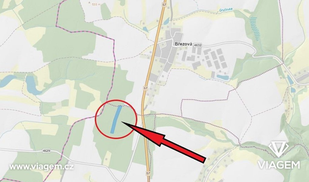 Prodej lesa 15 886 m², Březová – náhled fotky 3