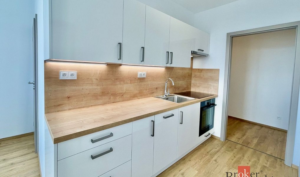 Pronájem bytu 1+1 43 m², Zliv – náhled fotky 12