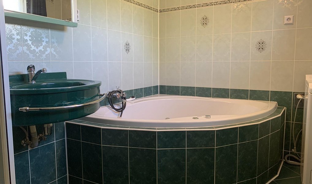 Prodej domu 200 m² s pozemkem 1 097 m², Velké Heraltice – náhled fotky 40