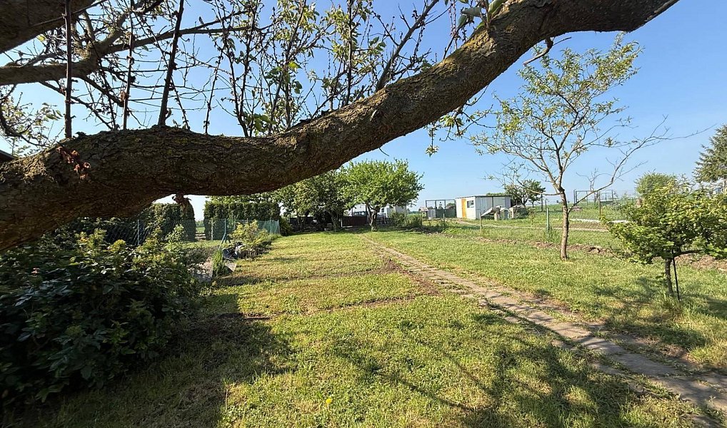 Prodej zahrady 428 m², Spořice – náhled fotky 6