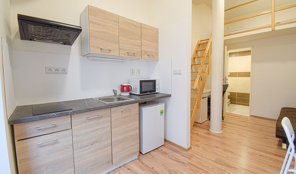Pronájem bytu 1+kk 23 m², Brno – náhled fotky 2
