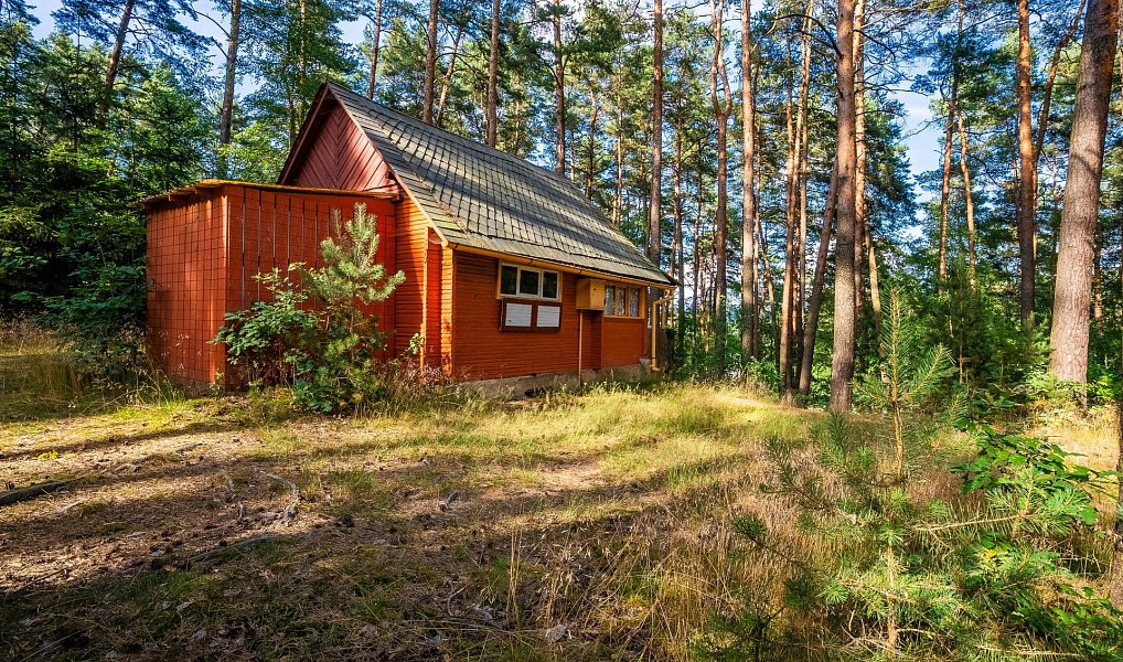 Prodej chaty/chalupy 36 m² s pozemkem 36 m², Hamr na Jezeře – náhled fotky 3